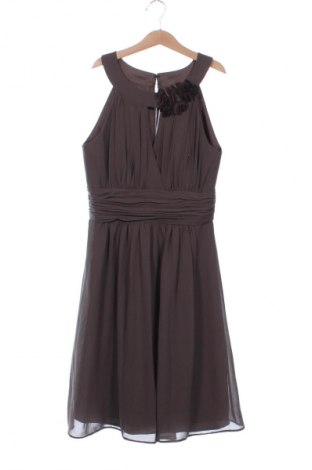 Kleid Jake*s, Größe XS, Farbe Braun, Preis 19,99 €