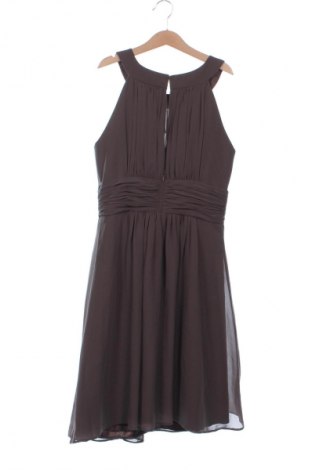 Kleid Jake*s, Größe XS, Farbe Braun, Preis 19,99 €