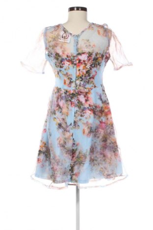 Φόρεμα Miss Chic, Μέγεθος XL, Χρώμα Πολύχρωμο, Τιμή 10,99 €