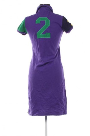 Kleid Ralph Lauren, Größe M, Farbe Lila, Preis 64,99 €