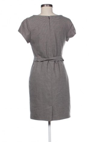 Kleid Zara, Größe XL, Farbe Mehrfarbig, Preis 29,03 €