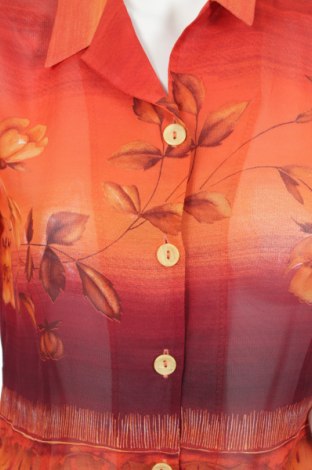 Γυναικείο πουκάμισο, Μέγεθος L, Χρώμα Πολύχρωμο, Τιμή 14,74 €