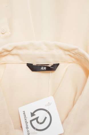 Γυναικείο πουκάμισο H&M, Μέγεθος M, Χρώμα Εκρού, Τιμή 15,46 €