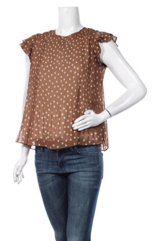Γυναικεία μπλούζα Motivi, Μέγεθος S, Χρώμα Καφέ, Πολυεστέρας, Τιμή 16,08 €