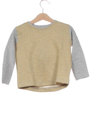 Детска блуза Gocco, Размер 12-18m/ 80-86 см, Цвят Сив, 70% памук, 29% полиестер, 1% еластан, Цена 17,25 лв.