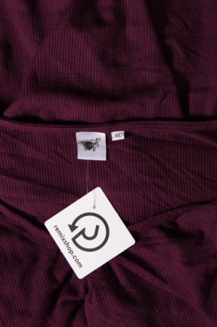 Γυναικεία μπλούζα, Μέγεθος XL, Χρώμα Βιολετί, Τιμή 11,75 €