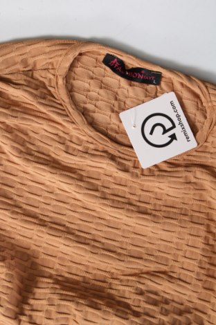 Γυναικεία μπλούζα, Μέγεθος L, Χρώμα  Μπέζ, Τιμή 9,74 €