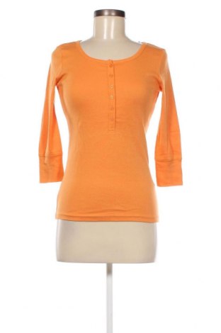 Γυναικεία μπλούζα, Μέγεθος XS, Χρώμα Κίτρινο, Τιμή 5,88 €