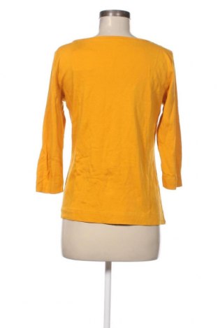 Γυναικεία μπλούζα Adagio, Μέγεθος M, Χρώμα Κίτρινο, Τιμή 11,75 €