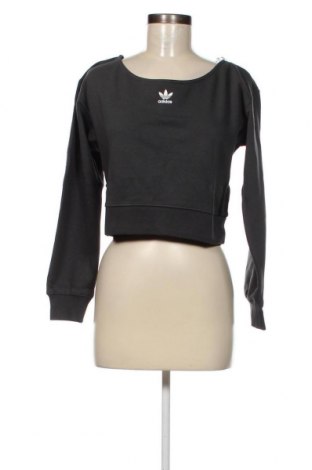 Γυναικεία μπλούζα Adidas Originals, Μέγεθος XXS, Χρώμα Γκρί, Τιμή 13,10 €