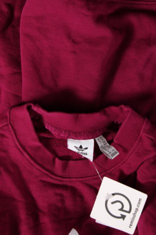 Damen Shirt Adidas Originals, Größe M, Farbe Lila, Preis € 23,66