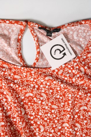 Γυναικεία μπλούζα Adrianna Papell, Μέγεθος XXL, Χρώμα Πολύχρωμο, Τιμή 19,00 €