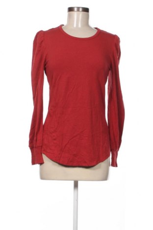 Дамска блуза Amazon Essentials, Размер S, Цвят Червен, Цена 3,04 лв.