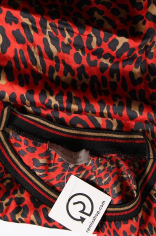 Γυναικεία μπλούζα Amelie & Amelie, Μέγεθος S, Χρώμα Πολύχρωμο, Τιμή 4,11 €