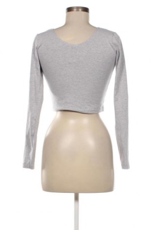 Γυναικεία μπλούζα American Apparel, Μέγεθος L, Χρώμα Γκρί, Τιμή 10,95 €