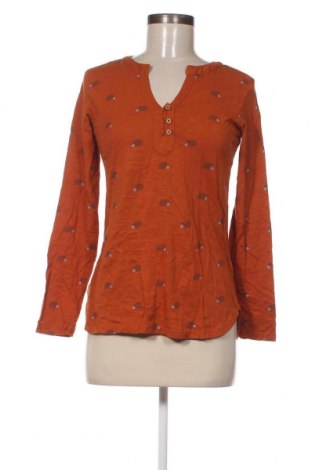 Γυναικεία μπλούζα Brakeburn, Μέγεθος S, Χρώμα Πορτοκαλί, Τιμή 7,92 €