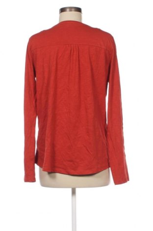 Damen Shirt Cache Cache, Größe XL, Farbe Braun, Preis € 15,86