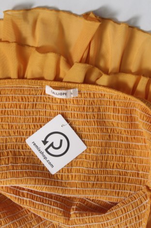 Γυναικεία μπλούζα Calliope, Μέγεθος L, Χρώμα Κίτρινο, Τιμή 4,96 €