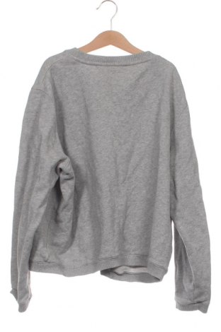 Damen Shirt Carven, Größe XS, Farbe Grau, Preis 47,23 €