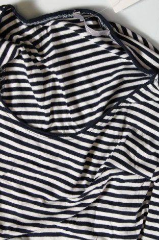 Γυναικεία μπλούζα Cecil, Μέγεθος XL, Χρώμα Πολύχρωμο, Τιμή 12,62 €