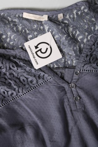 Damen Shirt Christian Berg, Größe M, Farbe Blau, Preis 8,39 €