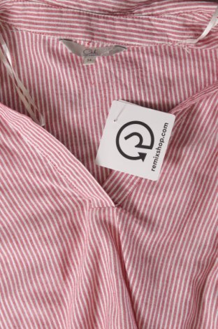Damen Shirt Clockhouse, Größe XS, Farbe Mehrfarbig, Preis € 2,98