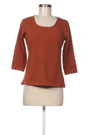 Дамска блуза Colours Of The World, Размер M, Цвят Кафяв, Цена 8,55 лв.