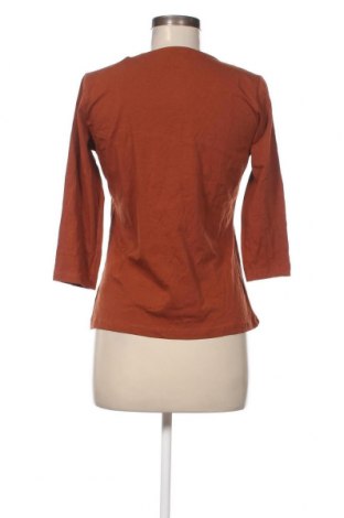 Damen Shirt Colours Of The World, Größe M, Farbe Braun, Preis € 3,83