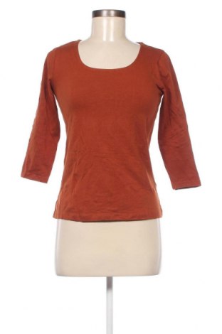 Дамска блуза Colours Of The World, Размер S, Цвят Кафяв, Цена 8,55 лв.