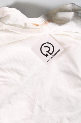 Damen Shirt Comma,, Größe XL, Farbe Weiß, Preis € 33,40