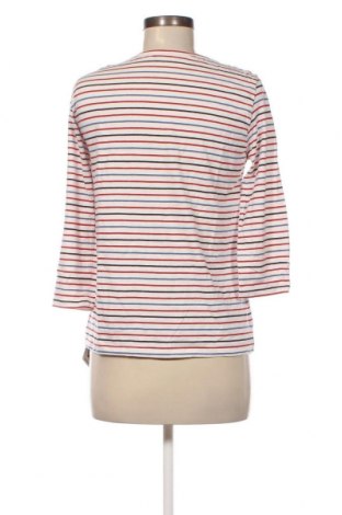 Damen Shirt Cortefiel, Größe S, Farbe Mehrfarbig, Preis € 3,55