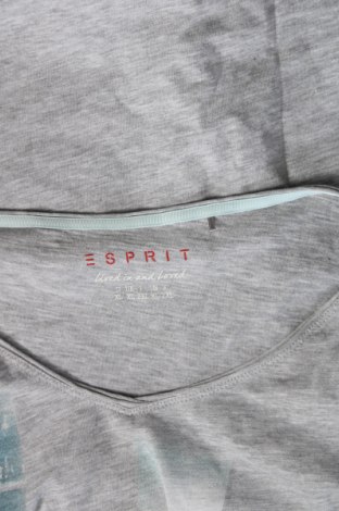 Damen Shirt Esprit, Größe XL, Farbe Grau, Preis € 17,00