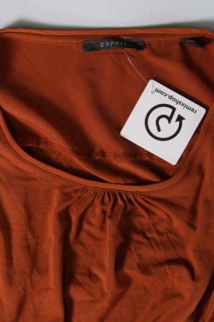 Damen Shirt Esprit, Größe S, Farbe Braun, Preis 10,43 €