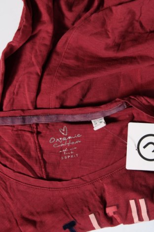 Γυναικεία μπλούζα Esprit, Μέγεθος XXL, Χρώμα Κόκκινο, Τιμή 19,14 €