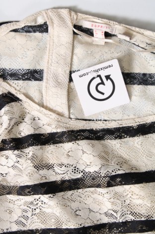 Damen Shirt Esprit, Größe M, Farbe Mehrfarbig, Preis 17,39 €
