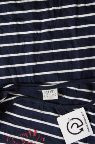 Damen Shirt Esprit, Größe M, Farbe Blau, Preis 23,66 €