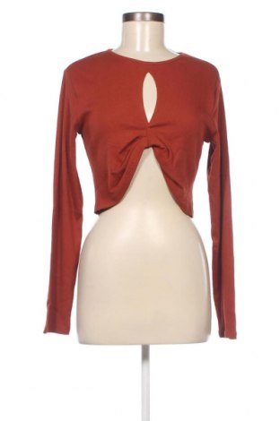 Γυναικεία μπλούζα Even&Odd, Μέγεθος XL, Χρώμα Καφέ, Τιμή 8,15 €