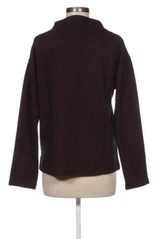 Γυναικεία μπλούζα Expresso, Μέγεθος L, Χρώμα Πολύχρωμο, Τιμή 8,35 €
