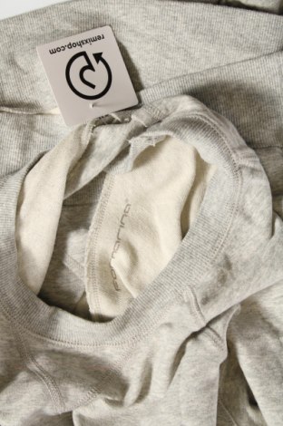 Damen Shirt Fornarina, Größe S, Farbe Grau, Preis € 18,04