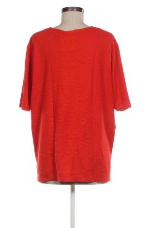 Γυναικεία μπλούζα Freya, Μέγεθος XL, Χρώμα Κόκκινο, Τιμή 10,54 €