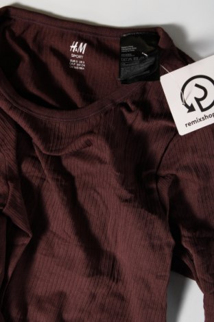 Damen Shirt H&M Sport, Größe S, Farbe Braun, Preis 16,01 €