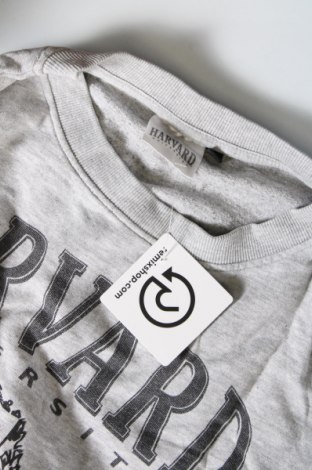 Damen Shirt Harvard, Größe M, Farbe Grau, Preis 3,55 €