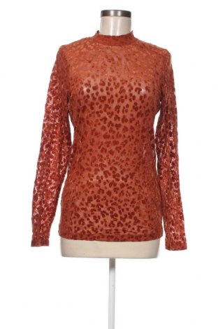Γυναικεία μπλούζα Hema, Μέγεθος M, Χρώμα Πορτοκαλί, Τιμή 5,29 €