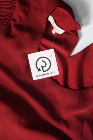Damen Shirt Hobbs, Größe S, Farbe Rot, Preis 52,19 €