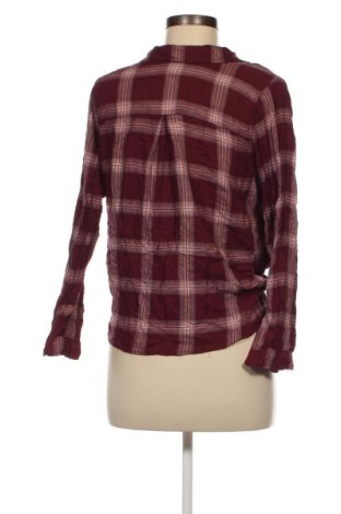 Damen Shirt Hollister, Größe S, Farbe Rot, Preis 7,10 €