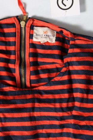 Damen Shirt Holly & Whyte By Lindex, Größe XXL, Farbe Mehrfarbig, Preis € 9,25