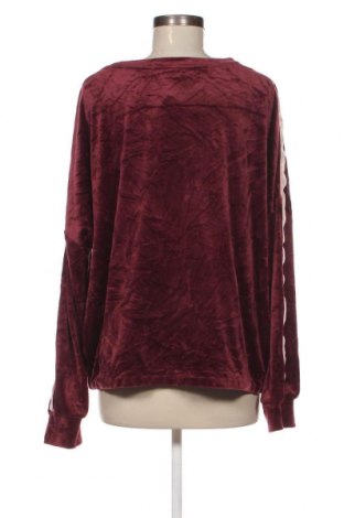 Damen Shirt Hunkemoller, Größe XL, Farbe Rot, Preis 12,07 €