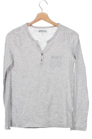 Γυναικεία μπλούζα In Extenso, Μέγεθος XS, Χρώμα Γκρί, Τιμή 5,54 €