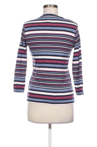 Γυναικεία μπλούζα Isle Apparel, Μέγεθος S, Χρώμα Πολύχρωμο, Τιμή 4,45 €