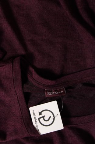 Γυναικεία μπλούζα Janina, Μέγεθος XL, Χρώμα Βιολετί, Τιμή 3,88 €
